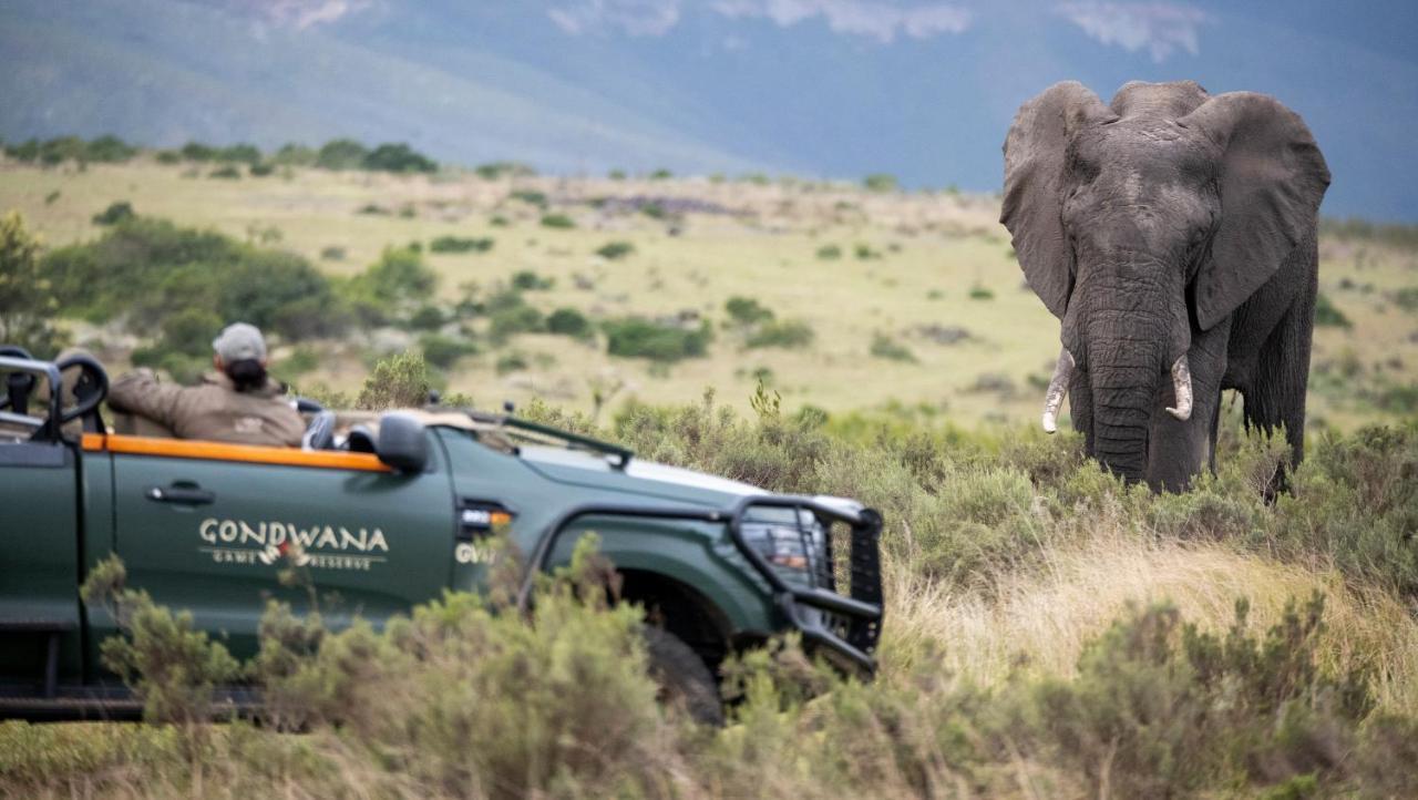 Gondwana Game Reserve Βίλα Kleinberg Εξωτερικό φωτογραφία