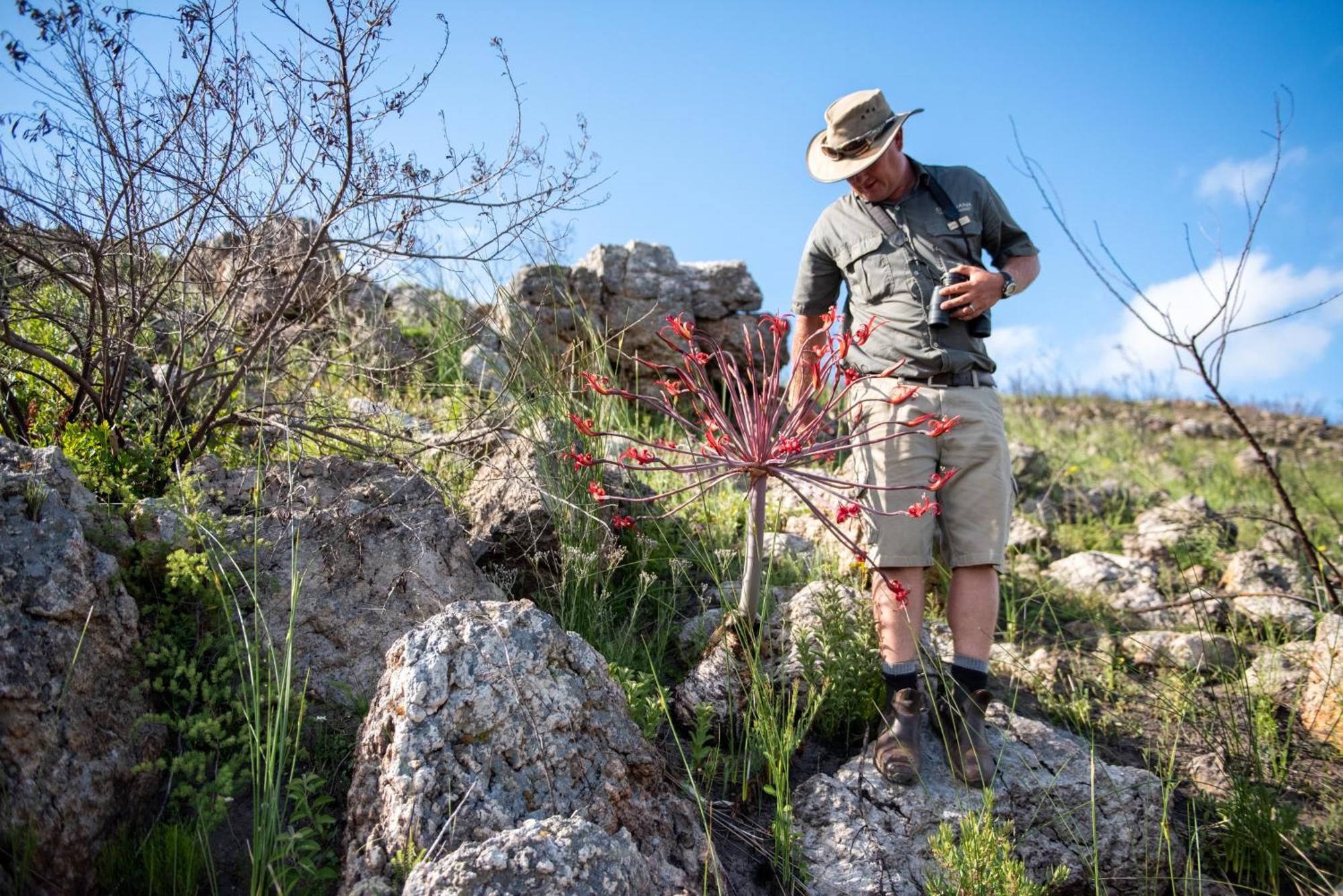 Gondwana Game Reserve Βίλα Kleinberg Εξωτερικό φωτογραφία