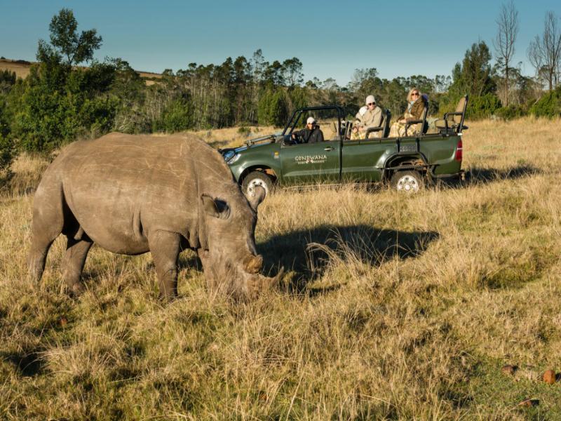 Gondwana Game Reserve Βίλα Kleinberg Εξωτερικό φωτογραφία