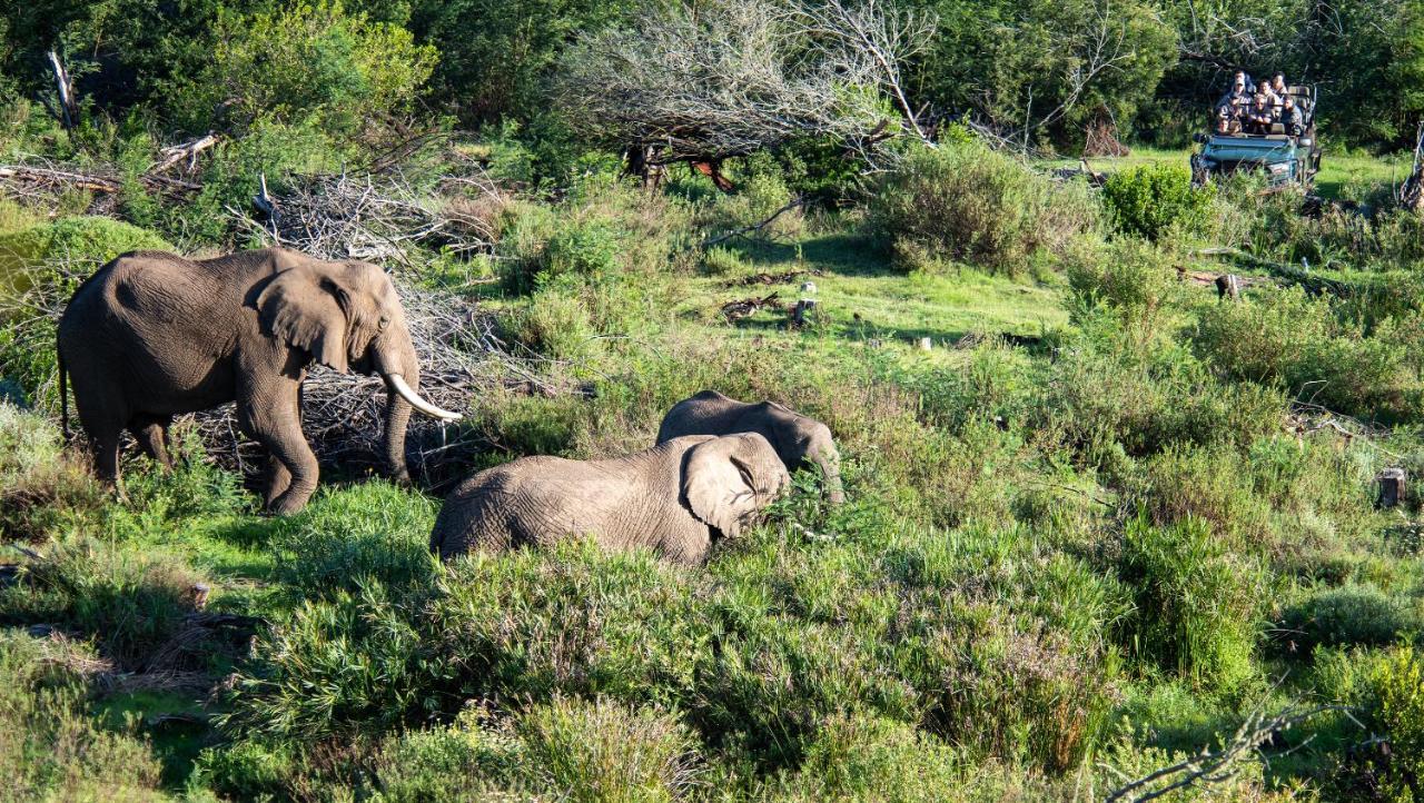 Gondwana Game Reserve Βίλα Kleinberg Εξωτερικό φωτογραφία